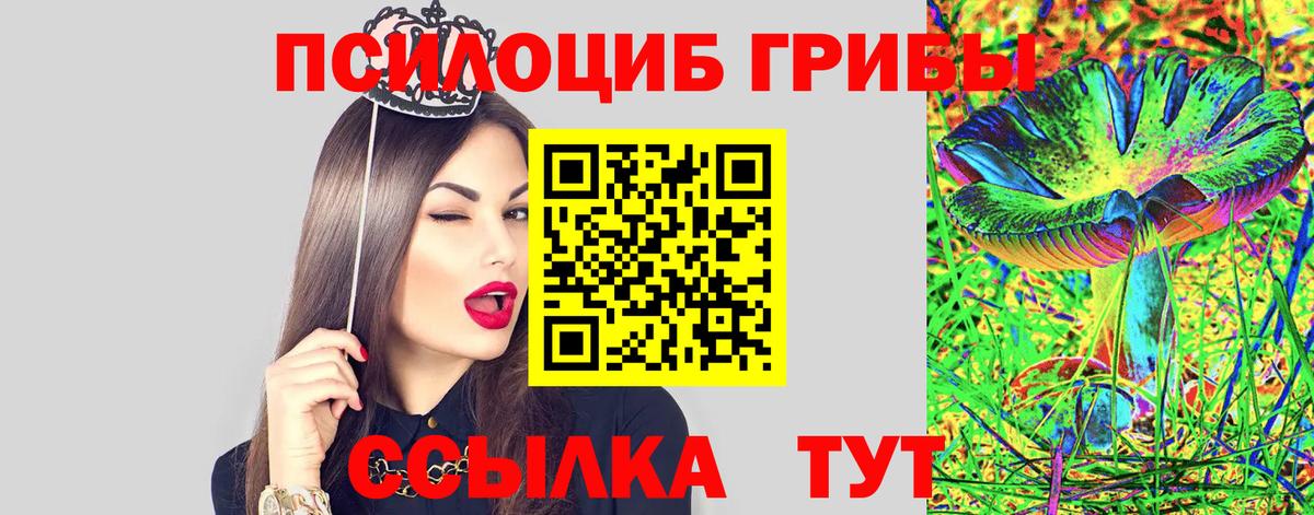 Псилоцибиновые грибы Cubensis Ростов Великий