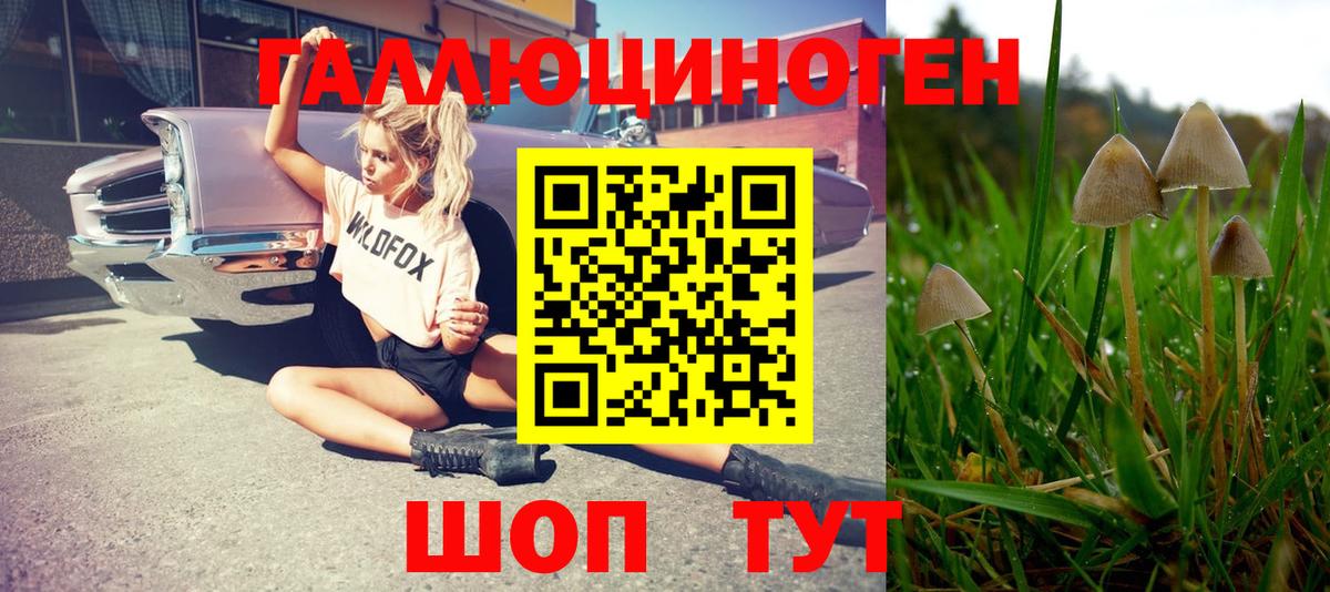 Ростов Великий  Псилоцибиновые грибы MAGIC MUSHROOMS  Вход с VPN 